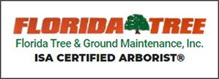 Florida Tree & Ground Maintenance; Punta Gorda Fl